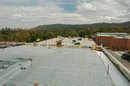 5-5-05--30.JPG