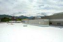 6-09-05--48.JPG