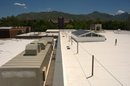 6-17-05--44.JPG