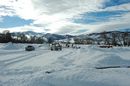 1-31-08--03.jpg